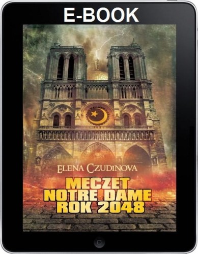 Meczet Notre Dame2.jpg
